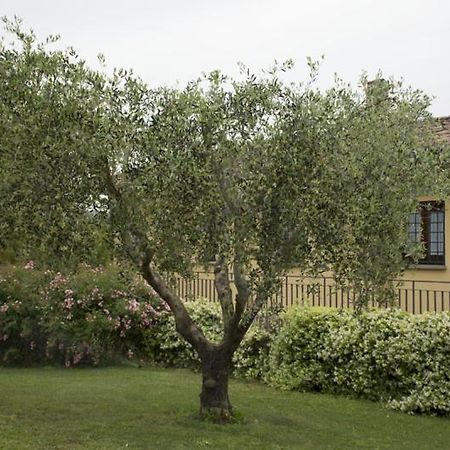 Agriturismo Scuderie Della Contea Sutri Εξωτερικό φωτογραφία
