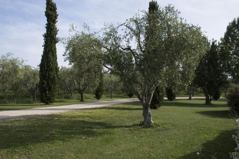 Agriturismo Scuderie Della Contea Sutri Εξωτερικό φωτογραφία