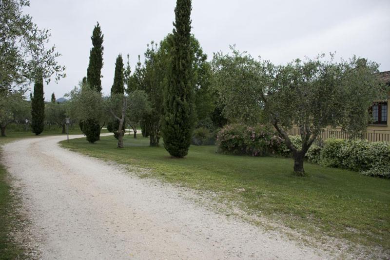 Agriturismo Scuderie Della Contea Sutri Εξωτερικό φωτογραφία