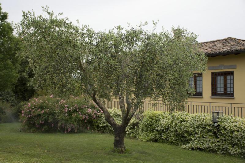 Agriturismo Scuderie Della Contea Sutri Εξωτερικό φωτογραφία